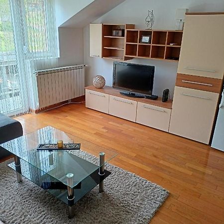 شقة Apartman Romansa Vrnjačka Banja المظهر الخارجي الصورة